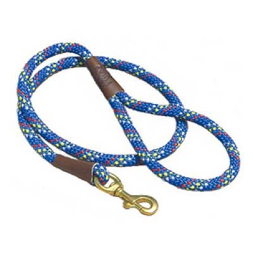 Dog Leads
